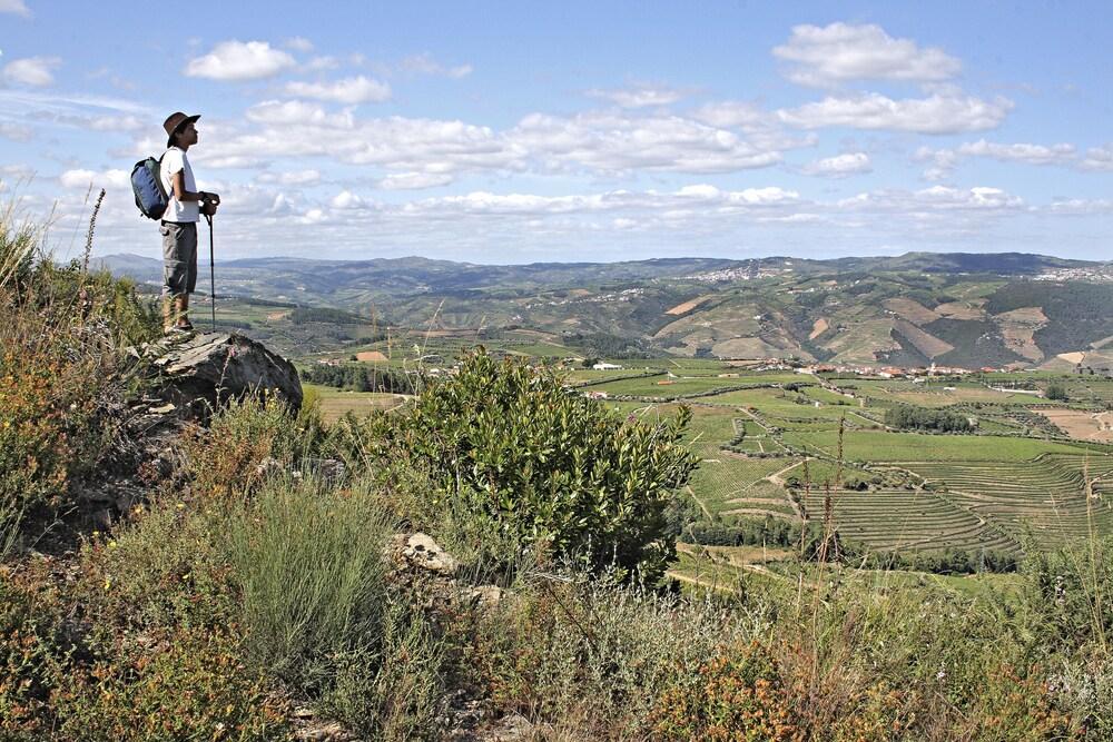 Casa De Vilarinho De S. Romao ซาบรอซา ภายนอก รูปภาพ