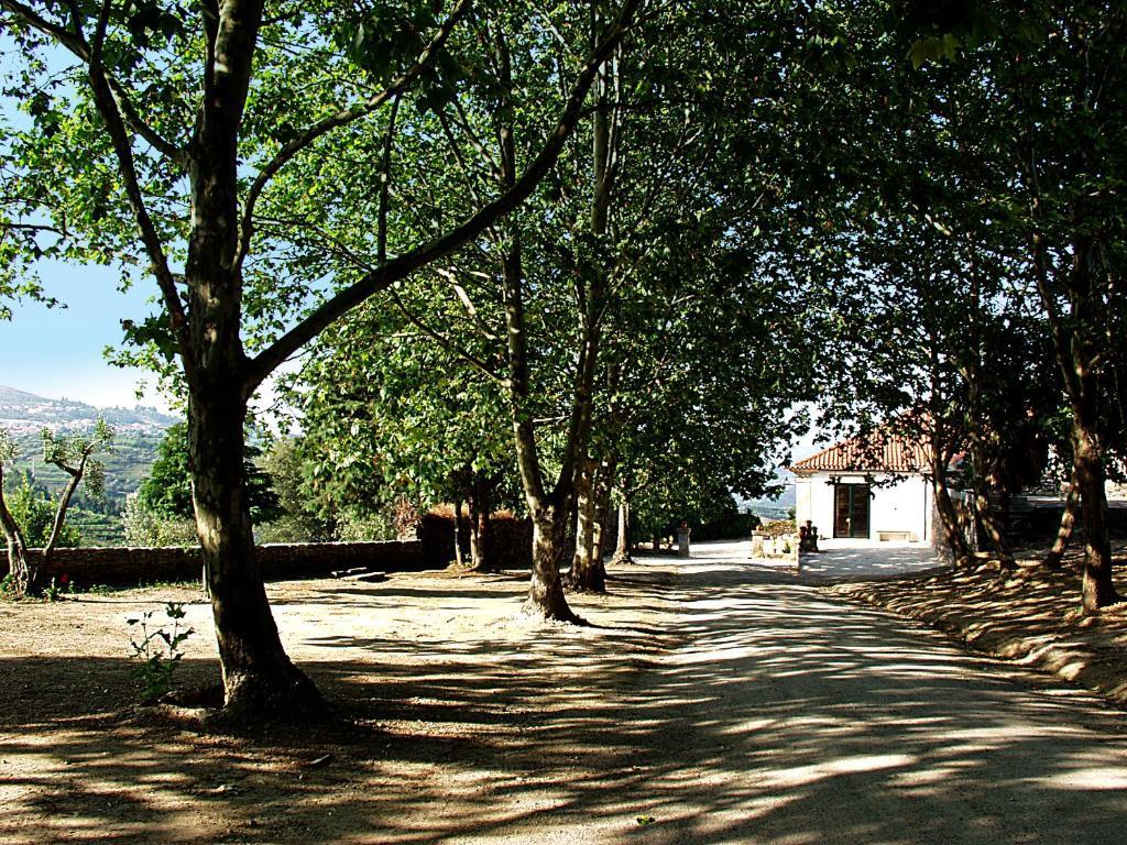 Casa De Vilarinho De S. Romao ซาบรอซา ภายนอก รูปภาพ